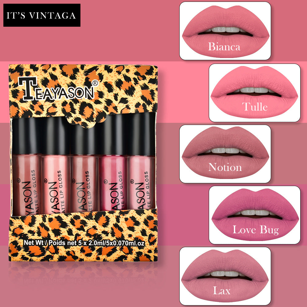 5Pcs/Set Waterproof Lipstick Sexy Vampire Lip Stick Matte Velvet